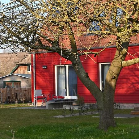 Ferienwohnung Rote Kate Born Dış mekan fotoğraf